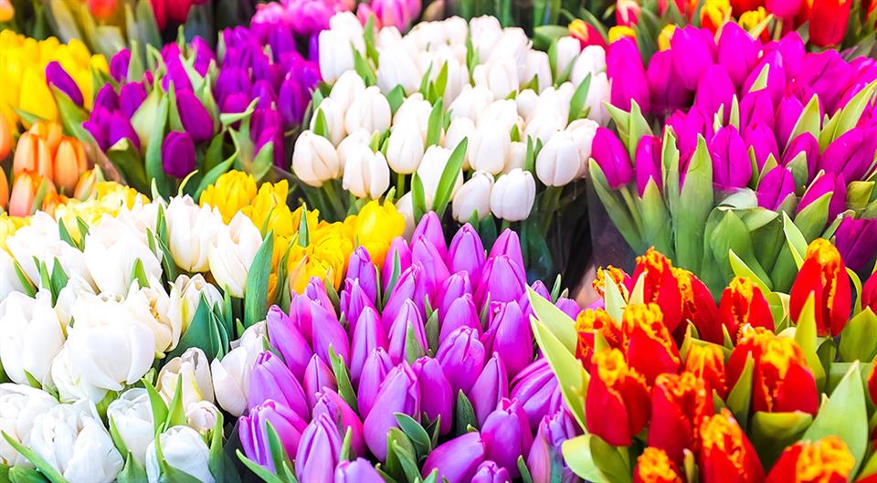 Mother's Day Flowers