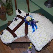 Horses Head