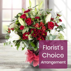 Romantic Florist Choice Hand tied