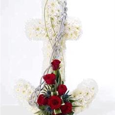Anchor Tribute