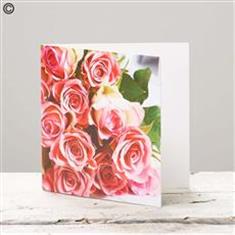 Pink Rose Card